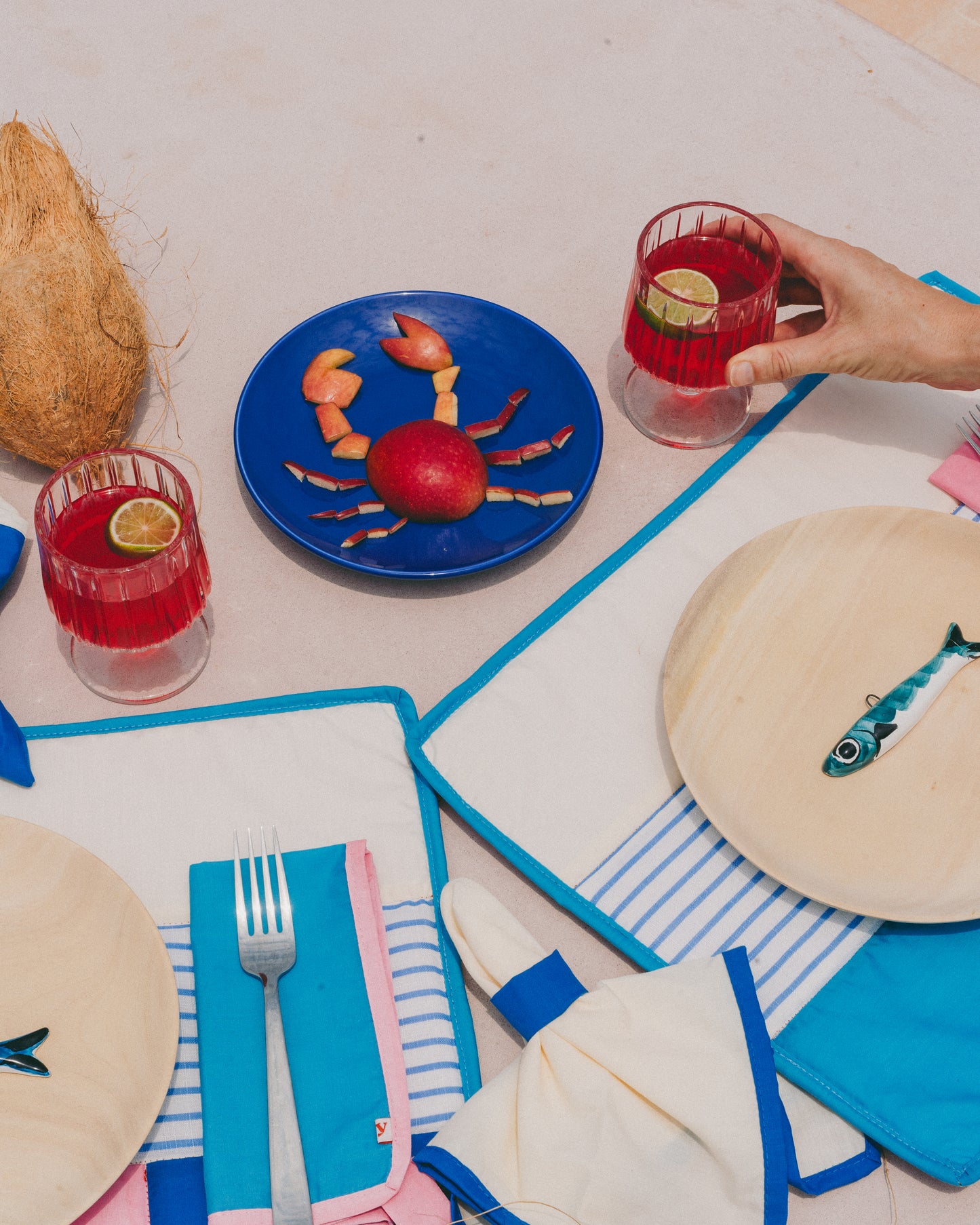 COASTAL COOL napkins (set of 4 mixed)